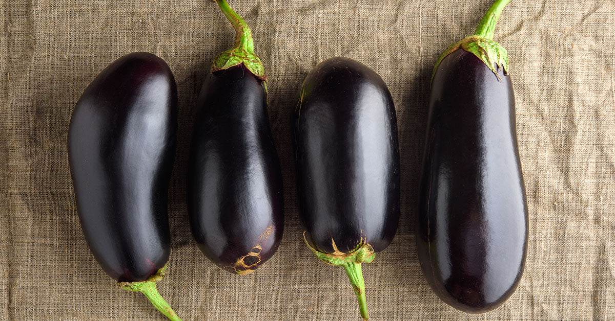 Eggplant