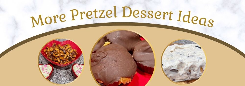 More Pretzel Dessert Ideas - OMG Pretzels