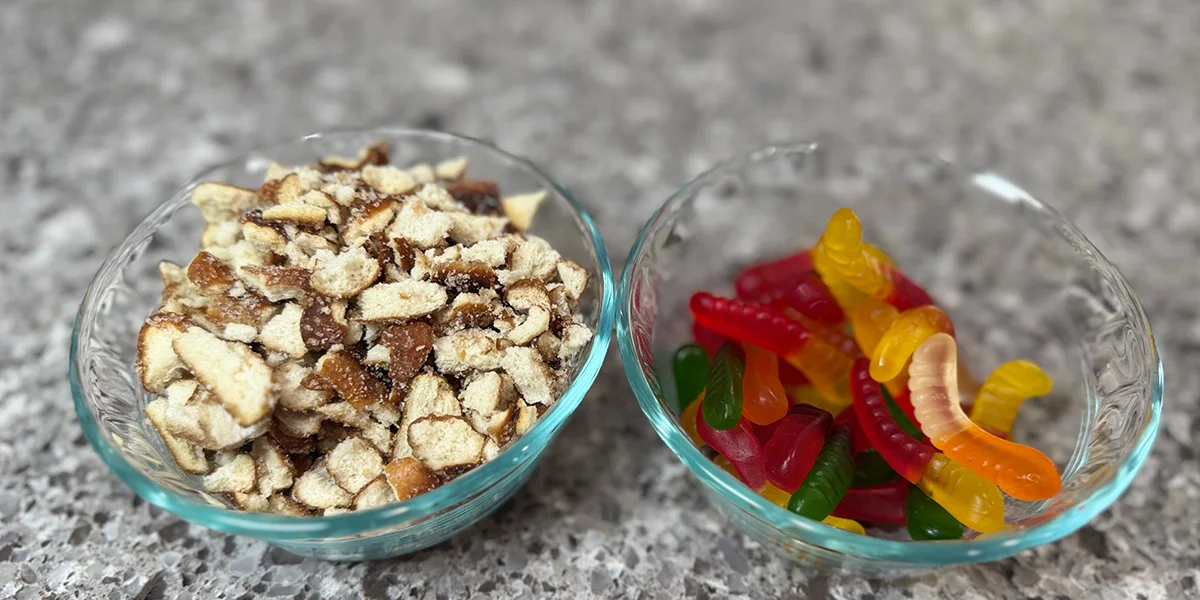 Two glass bowls on a granite countertop, one filled with crumbled pretzels and the other with colorful gummy worms, creating a playful snack contrast.