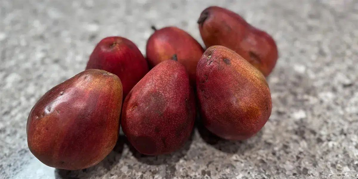 A group of ripe, red pears with a slightly mottled skin resting on a speckled granite countertop, conveying freshness and a natural texture.